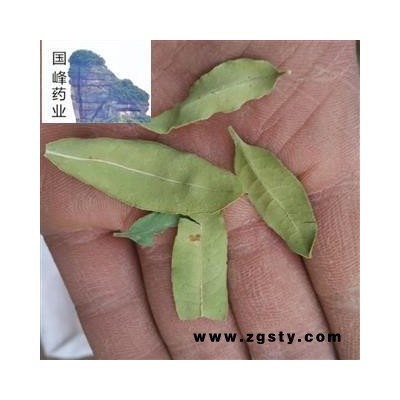 罗布麻叶 大叶 青色 足干 好统货 国峰药业 重在品质 产地 新疆维吾尔自治区