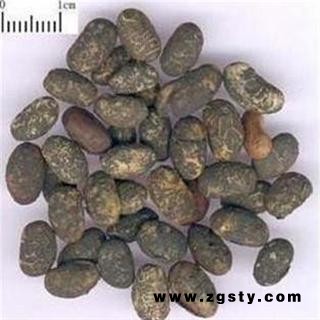 淡豆豉 选 淡豆豉 产地 辽宁省 德誉堂药业批发各种中药材