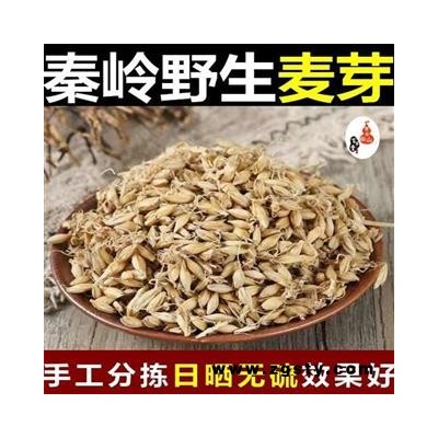 【新货】秦岭农家生大麦芽 特级野生麦芽 散装500g