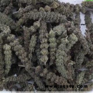 圣草康园 中药材芥穗 荆芥 荆芥穗 芥穗炭 荆芥穗炭
