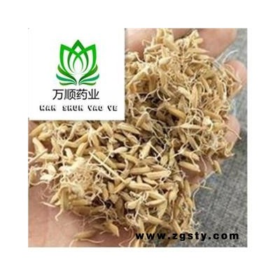 稻芽选货 质量好 价格低  产地直销 产地 山东省