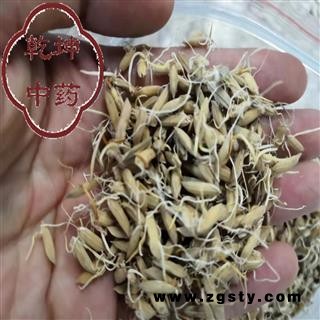 谷芽 统货 高含量 产地 四川省【诚信经营 品种齐全】