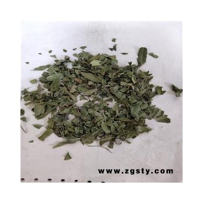 罗布麻叶 统