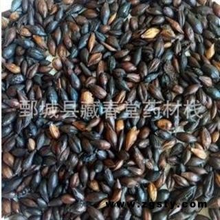 麦芽 焦麦芽 焦三仙 统 产地 山东省