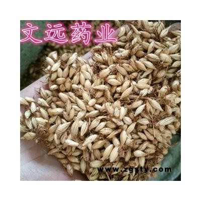 麦芽 统装 产地 河南省焦作市市辖区