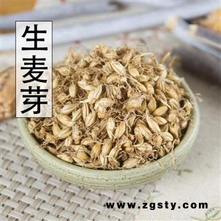 麦芽 生麦芽 个个带芽 产地 山东省 优质优价