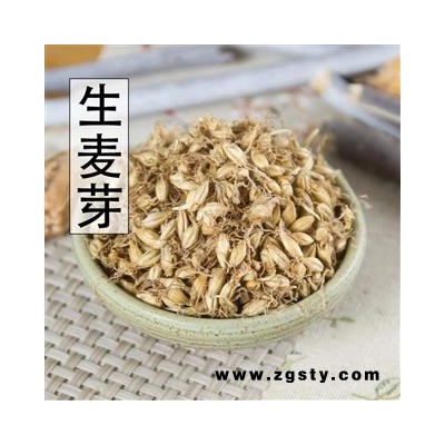 麦芽 生麦芽 个个带芽 产地 山东省 优质优价