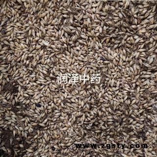 【麦芽炒麦芽好统货】【润泽中药】中药材批发供应 规格齐全 量大从优