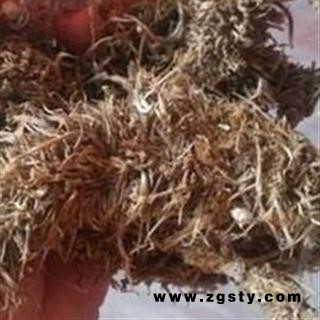 正品冷备中药材 糠谷老 （菌） 看谷老 老谷穗 粟白发 老枪谷 谷子白发