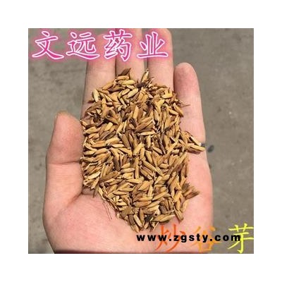 谷芽 谷芽 选  炒谷芽 产地 湖北省襄阳市