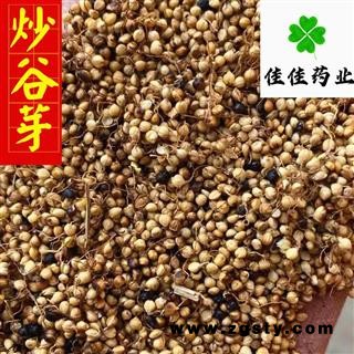 谷芽 炒谷芽 质量高 产地直销 产地 山东省