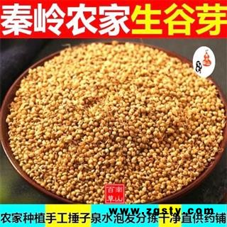 生谷芽 秦岭优质农家谷芽 炒谷芽 泉水泡发 手工分拣干净500g