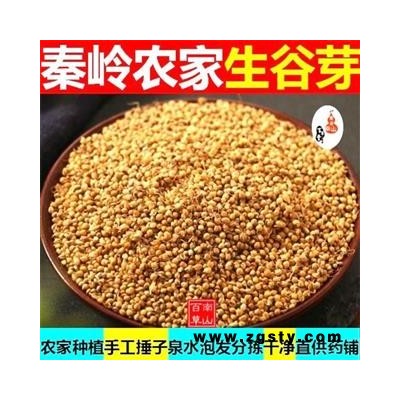 生谷芽 秦岭优质农家谷芽 炒谷芽 泉水泡发 手工分拣干净500g