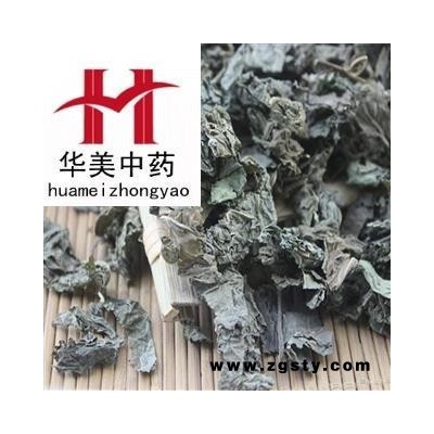 苏叶 统货 产地 广西 华美中药 产地直销 重在品质