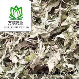 新货小艾叶 质量好 价格低 产地直销 规格齐全   产地 山东省