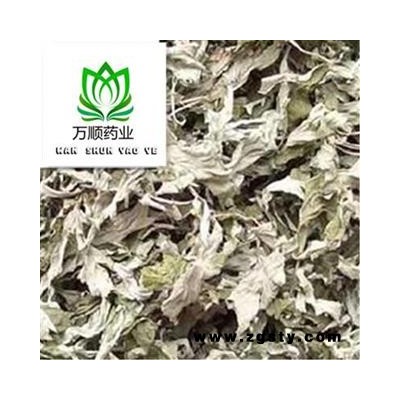 新货小艾叶 质量好 价格低 产地直销 规格齐全   产地 山东省