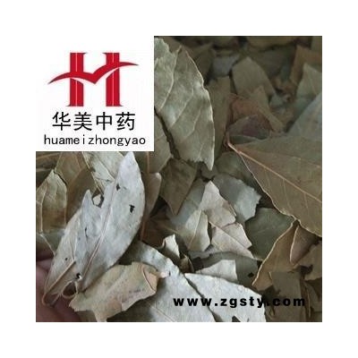 香叶 统 产地 广西 华美中药 产地直销 重在品质