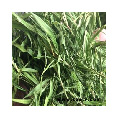 竹叶茶 石竹茶 茶用精选 可直接泡茶 产地 山东省