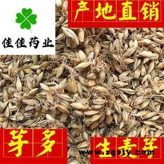 生麦芽 麦芽选货 芽多 供应各种中药材 产地 山东省