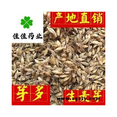 生麦芽 麦芽选货 芽多 供应各种中药材 产地 山东省