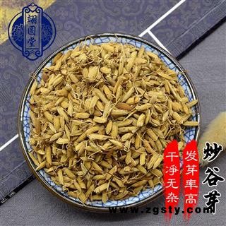 炒谷芽 选 中药材炒谷芽小米芽有生谷芽
