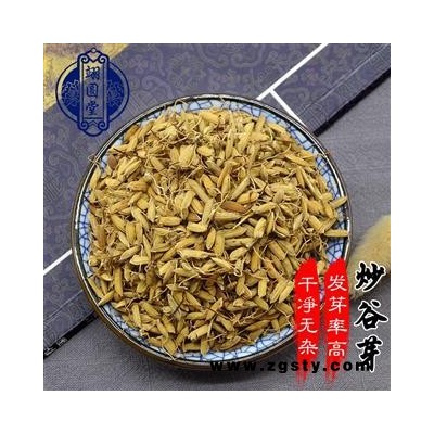 炒谷芽 选 中药材炒谷芽小米芽有生谷芽