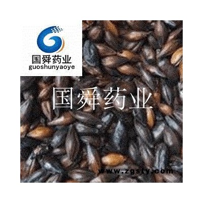 麦芽 焦麦芽 焦三仙 产地 山东省