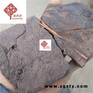 儿茶 统 产地 云南省 国药堂 专注品质