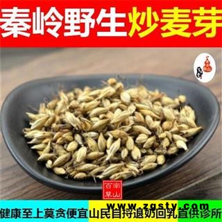 炒麦芽 秦岭优质野生新货 焦麦芽 熟大麦芽茶500g