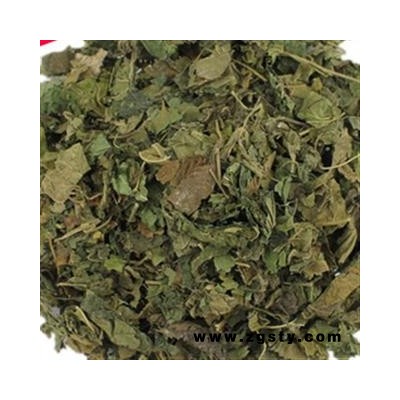 安祁名药正品桑叶 霜桑叶