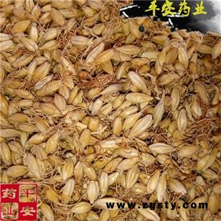 平安药业 麦芽 正品 生大麦芽 大麦蘖