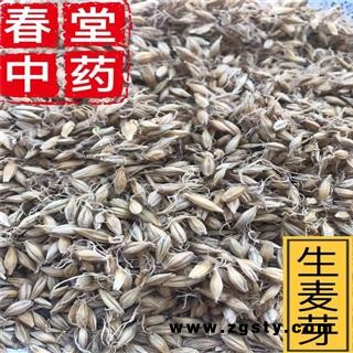 麦芽 生麦芽 统 产地 安徽省