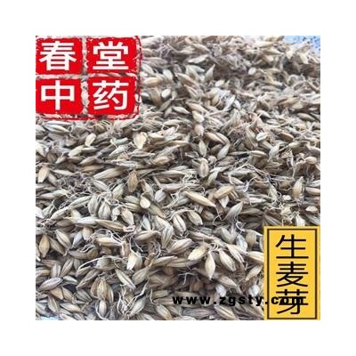 麦芽 生麦芽 统 产地 安徽省