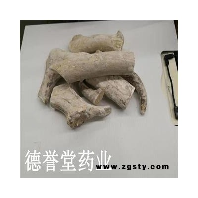 德誉堂药业 鹿角霜 选鹿角霜  产地 吉林省 各种规格