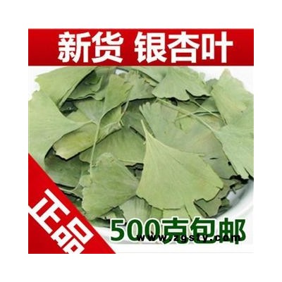银杏叶茶 特级 脱毒银杏茶正品新货无硫干银杏叶子新货中药材店铺