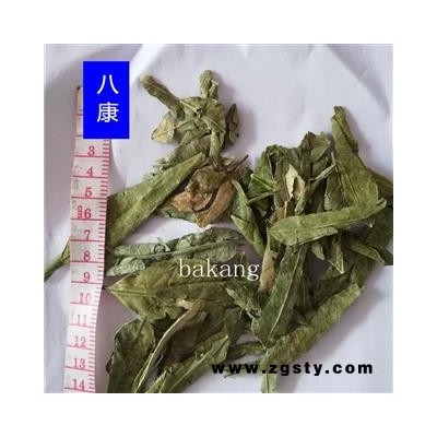 橘叶 01统