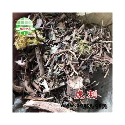 老虎刺 绣花针、伏牛花、虎刺、老虎刺 、老鼠刺  虎刺统货 产地 广西壮族自治区