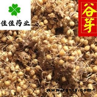 谷芽 生谷芽统货 产地 山东省 芽多 新货 产地直销 供应各种中药材 花果茶冷背货 矿石等