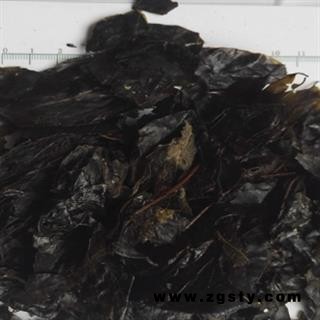 安祁名药中药材苦丁茶 大叶苦丁茶
