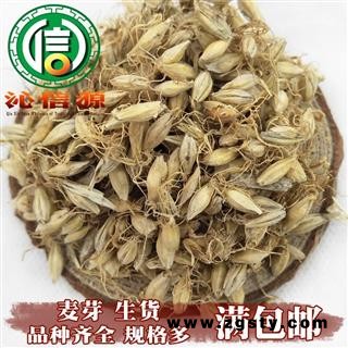【满包邮】麦芽生货统货散装四川产地直供生麦芽沁信源中药批发