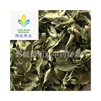 【罗布麻叶】@【同欢药材】中药材批发供应  规格齐全 量大从优 产地 新疆维吾尔自治区