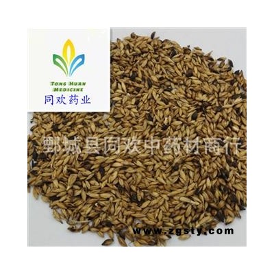 【炒麦芽】@【同欢药材】中药材批发供应  规格齐全 量大从优  产地 山东省