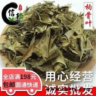 无硫枸骨叶自然色无硫功劳叶产地直销今年新货专注品质，诚信信邦！
