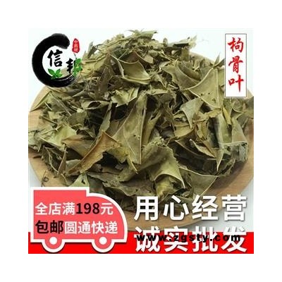 无硫枸骨叶自然色无硫功劳叶产地直销今年新货专注品质，诚信信邦！