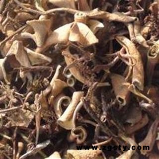 石苇 绿色小叶石韦统段 过筛 无杂质 产地 云南省