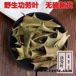 野生枸骨叶功劳叶500g中药材干新货猫儿特级刺八角刺十大功劳叶