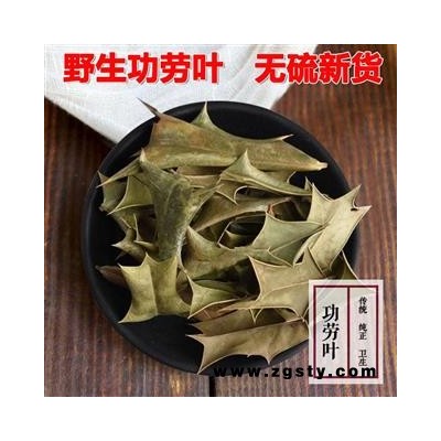 野生枸骨叶功劳叶500g中药材干新货猫儿特级刺八角刺十大功劳叶