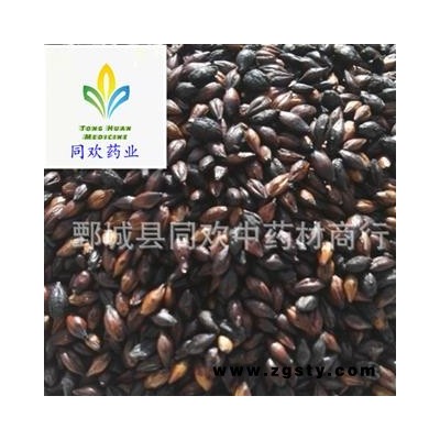 【焦麦芽】@【同欢药材】中药材批发供应 规格齐全 量大从优  产地 山东省