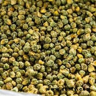 世元药业 胎菊 菊花 胎菊米 茶饮 烘干 安徽省黄山市屯溪区