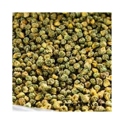 世元药业 胎菊 菊花 胎菊米 茶饮 烘干 安徽省黄山市屯溪区